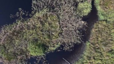 Varşova, Polonya, Avrupa yakınlarındaki Jacek adlı Ulusal Park Bataklığının havadan görünüşü