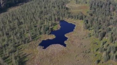 Varşova, Polonya, Avrupa yakınlarındaki Jacek adlı Ulusal Park Bataklığının havadan görünüşü