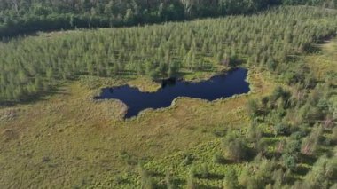 Varşova, Polonya, Avrupa yakınlarındaki Jacek adlı Ulusal Park Bataklığının havadan görünüşü