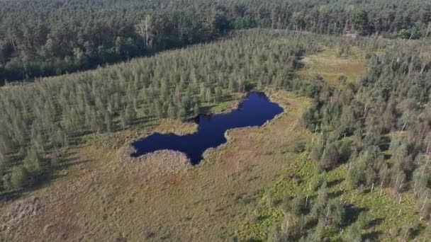 波兰华沙附近称为Jacek的国家公园沼泽的空中俯瞰 — 图库视频影像