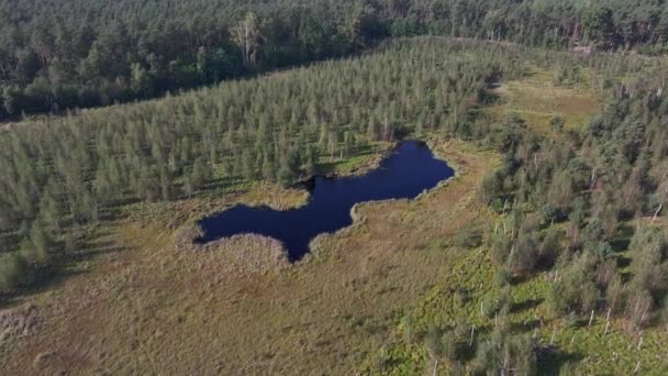 Aerial Top View National Park Swamp Called Jacek Warsaw Poland — Vídeo de Stock