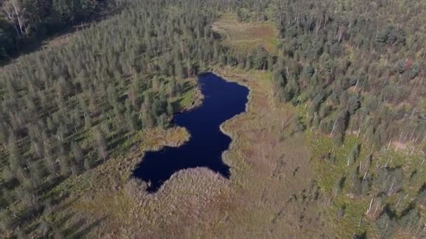 Aerial Top View National Park Swamp Called Jacek Warsaw Poland — Video