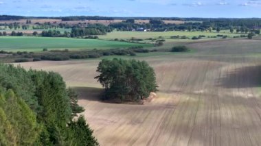 Güneşli yaz gününde Mazurian manzarası, Kuzey Polonya, Avrupa
