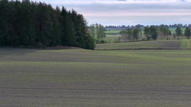 Güneşli yaz gününde Mazurian manzarası, Kuzey Polonya, Avrupa