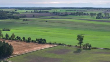 Güneşli yaz gününde Mazurian manzarası, Kuzey Polonya, Avrupa