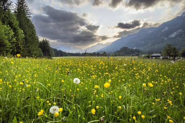 Idylická Bavorská Alpská Krajina Jižní Německo Evropa — Stock fotografie