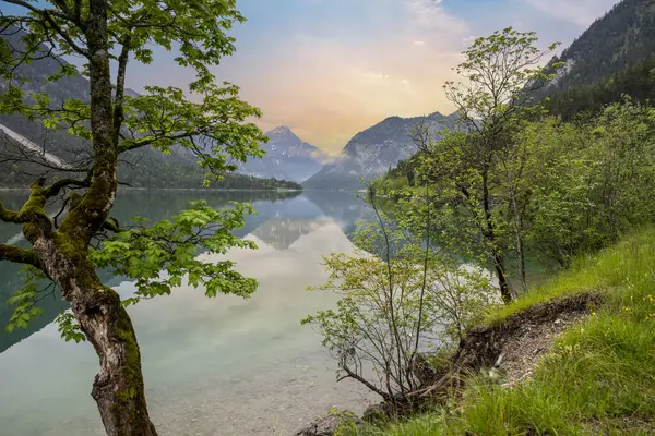 Jezero Plansee Rakousku Tyrolsko Večer Mlhou — Stock fotografie