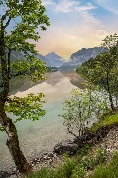 Jezero Plansee Rakousku Tyrolsko Večer Mlhou — Stock fotografie