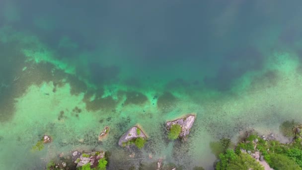 Top Drohnenblick Auf Die Bayerische Naturlandschaft Wald Und Kristallklares Wasser — Stockvideo
