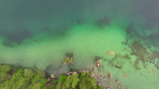 バイエルンの自然景観へのトップドローンビュー アルプス ドイツの湖で森と澄んだ透明な水 — ストック動画