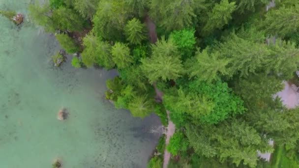 Top Drone View Bavarian Nature Landscape Forest Crystal Clear Water — Stock Video