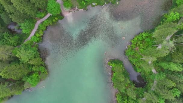 Top Drone Vista Sul Paesaggio Naturale Bavarese Foresta Acqua Cristallina — Video Stock