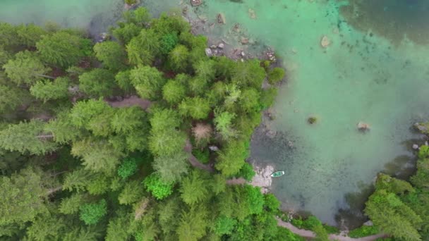 バイエルンの自然景観へのトップドローンビュー アルプス ドイツの湖で森と澄んだ透明な水 — ストック動画