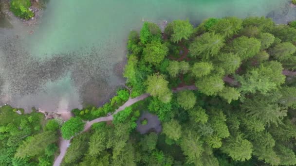 Top Drohnenblick Auf Die Bayerische Naturlandschaft Wald Und Kristallklares Wasser — Stockvideo