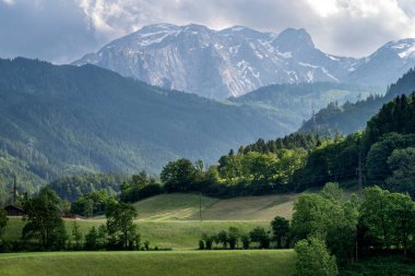 Taze yeşil dağ otlakları ve karla kaplı dağ başında arka planda Nationalpark Berchtesgadener Land, Bavyera, Almanya Alpleri'nde pastoral yaz manzara