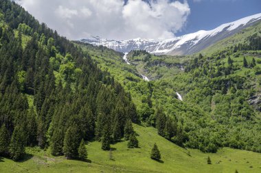 Ferleiten 'deki büyük şelale tepeden vadiye doğru ilerliyor..