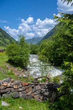 Dağdaki güzel hava manzarası ve Avusturya, Ferleiten 'deki Grossglockner High Alpine Yolu' ndaki yaban parkı..