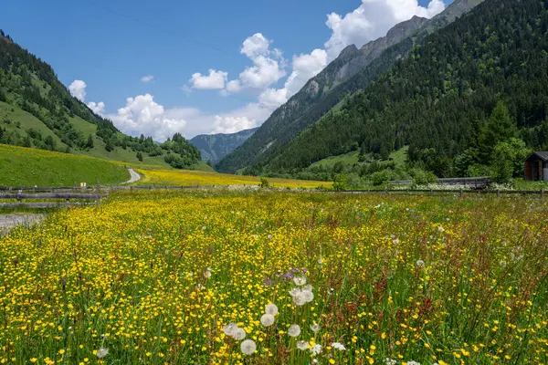 Прекрасний Повітряний Широкий Вид Гору Дикий Парк Високій Альпійській Дорозі Стокове Фото