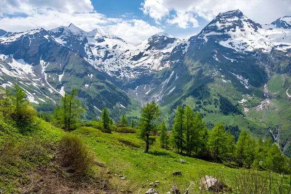 Прекрасний Повітряний Широкий Вид Гору Дикий Парк Високій Альпійській Дорозі Ліцензійні Стокові Фото