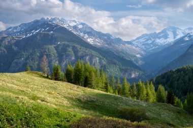 Dağdaki güzel hava manzarası ve Avusturya 'nın ünlü yolu Ferleiten' deki Grossglockner High Alpine Yolu 'ndaki yaban parkı..