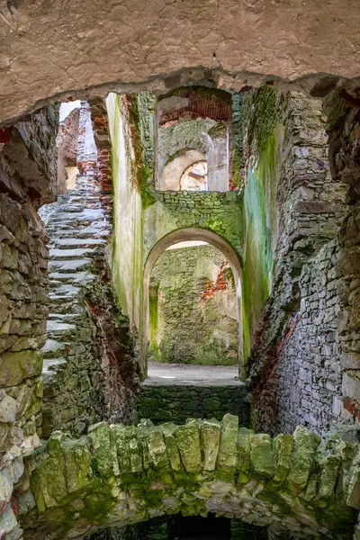 Ruines Vieux Château Krzyztopor Près Ujazd Pologne Était Des Grands — Photo
