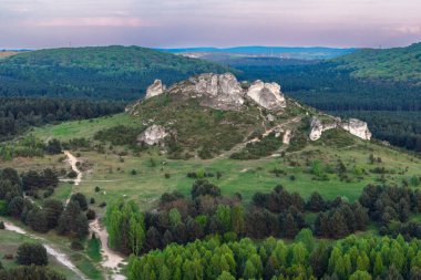 Jura Krakowsko 'daki Olsztyn yakınlarındaki Biaklo Dağı Czestochowska Upland, Silezya, Polonya