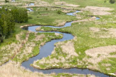 Bobolice Kalesi - Myszkow bölgesinde, Silezkow bölgesinde, Kartal Yuvaları adı verilen Bobolice köyünde inşa edilen Jura Krakowsko-Czestochowska 'daki bir kalenin kalıntıları..