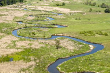 Bobolice Kalesi - Myszkow bölgesinde, Silezkow bölgesinde, Kartal Yuvaları adı verilen Bobolice köyünde inşa edilen Jura Krakowsko-Czestochowska 'daki bir kalenin kalıntıları..