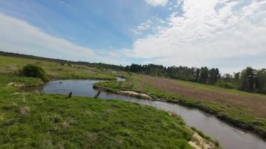 Pilica Nehri 'nin bahar zamanı, Silezya Voyvoda, Polonya