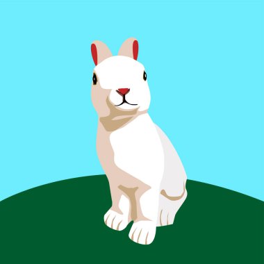 Tavşan mavi arka planda izole edilmiş. Paskalya tavşanı vektör çizimi.