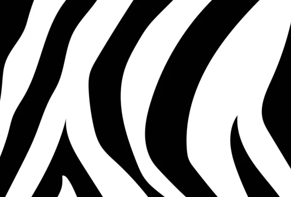 Impressão Zebra Fundo Padrão Zebra Ilustração Vetorial — Vetor de Stock