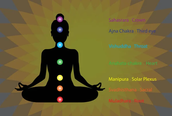 Mänsklig Siluett Yoga Lotus Poserar Med Sju Chakran — Stock vektor