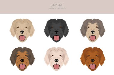 Sapsali köpek klipsi. Tüm ceket renkleri ayarlandı. Bütün köpekler karakteristik bilgileri çoğaltır. Vektör illüstrasyonu