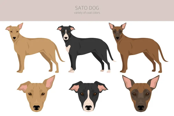 Sato Dog Clipart Všechny Barvy Srsti Nastaveny Všichni Psi Plemeno — Stockový vektor