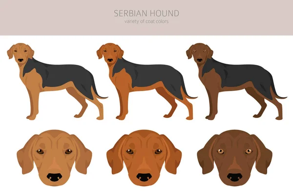 are serbian hounds good guard dogs