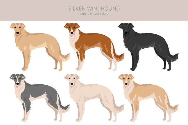 サイレン ウィンド ハウンド すべてのコートの色セット すべての犬は特徴的なインフォグラフィックを繁殖させます ベクターイラスト — ストックベクタ