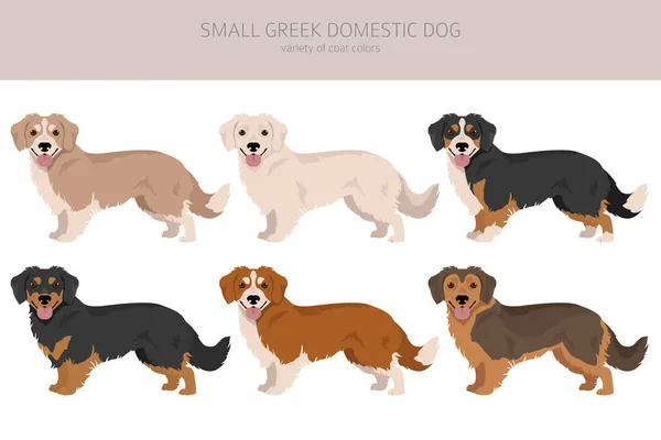 Mały Grecki Kliparty Pies Domowy Wszystkie Kolory Płaszcza Ustawione Wszystkie — Wektor stockowy