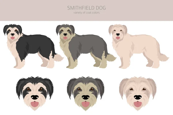 Smithfield Dog Clipart Alla Pälsfärger Inställda Alla Hund Raser Egenskaper — Stock vektor