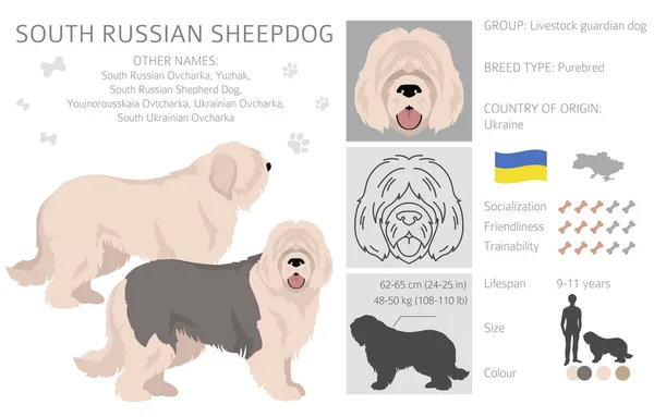South Russian Sheepdog Clipart All Coat Colors Set All Dog — Stock Vector