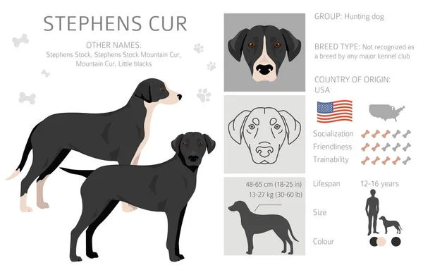 Stephens Cur Clipart All Coat Colors Set All Dog Breeds — Stock Vector