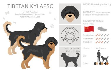 Tibetli Kyi Apso Clipart. Farklı pozlar, farklı renkler. Vektör illüstrasyonu
