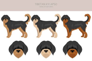 Tibetli Kyi Apso Clipart. Farklı pozlar, farklı renkler. Vektör illüstrasyonu