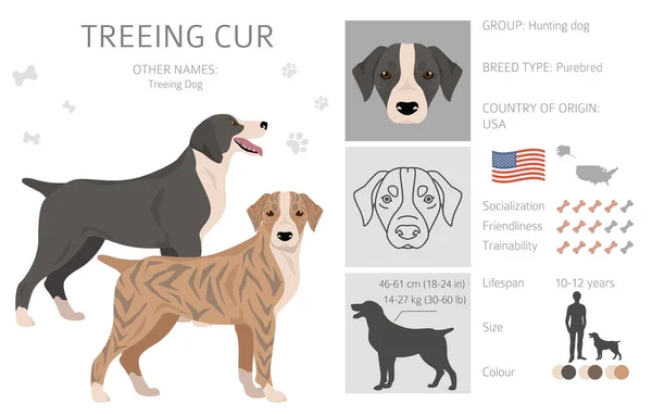 Treeing Cur Clipart All Coat Colors Set All Dog Breeds — Stock Vector