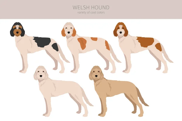 Welsh Hound Clipart Všechny Barvy Srsti Nastaveny Všichni Psi Plemeno — Stockový vektor