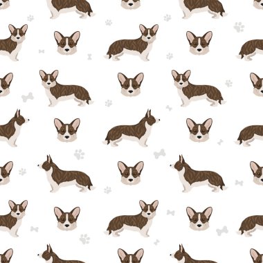 Galler Corgi hırkası, pürüzsüz desen. Farklı pozlar, farklı renkler. Vektör illüstrasyonu