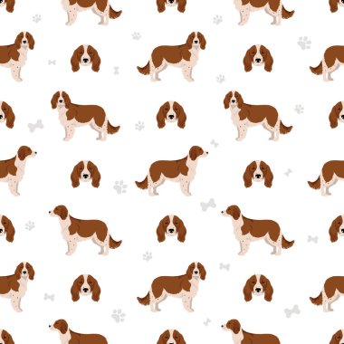 Galli Springer spanyel kusursuz desen. Farklı pozlar, farklı renkler. Vektör illüstrasyonu