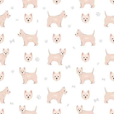 West Highland White Terrier teriyeri kusursuz. Farklı pozlar, farklı renkler. Vektör illüstrasyonu