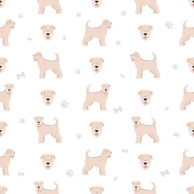 Yumuşak kaplamalı Wheaten Terrier teriyeri deseni. Farklı pozlar, farklı renkler. Vektör illüstrasyonu
