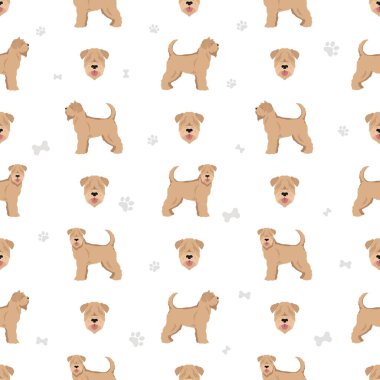 Yumuşak kaplamalı Wheaten Terrier teriyeri deseni. Farklı pozlar, farklı renkler. Vektör illüstrasyonu