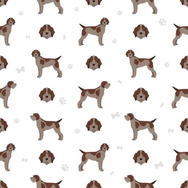 Tel saçlı, sivri uçlu, kusursuz Griffon patetrn. Farklı pozlar, farklı renkler. Vektör illüstrasyonu